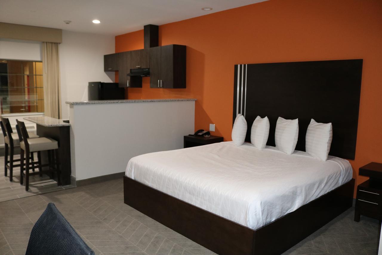 Scottish Inn & Suites - Iah Airport 험블 외부 사진